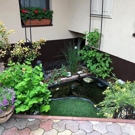 Milla Apartman Szentendre Buitenkant foto