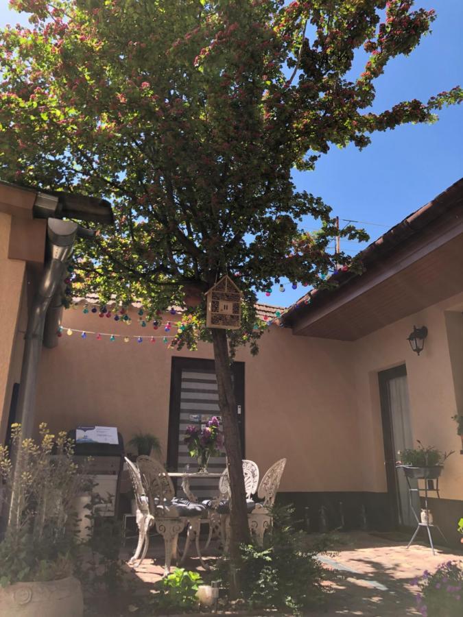 Milla Apartman Szentendre Buitenkant foto