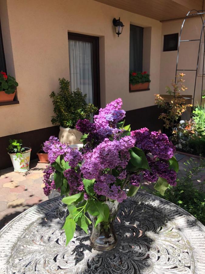 Milla Apartman Szentendre Buitenkant foto