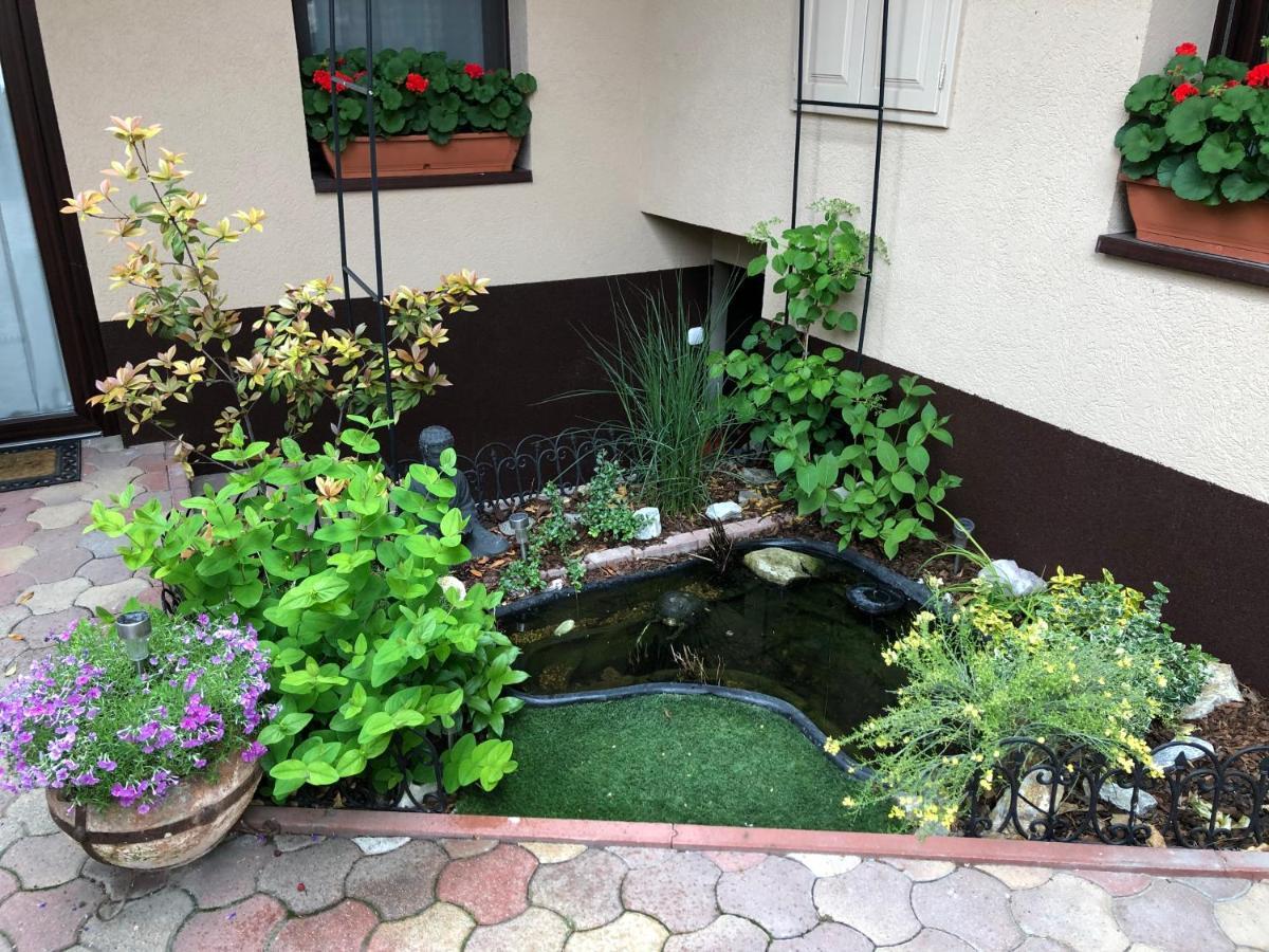 Milla Apartman Szentendre Buitenkant foto